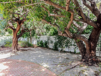 Enlarge photo 30