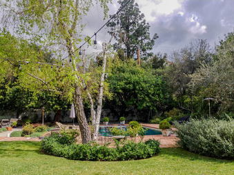 Enlarge photo 43