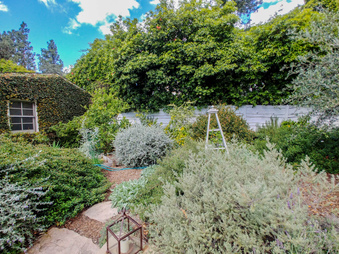 Enlarge photo 49
