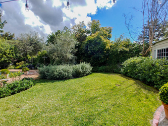 Enlarge photo 63