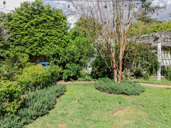 Enlarge photo 73