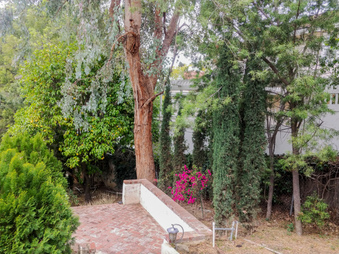 Enlarge photo 32