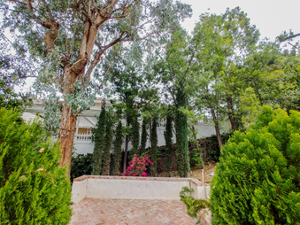 Enlarge photo 33