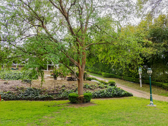 Enlarge photo 44