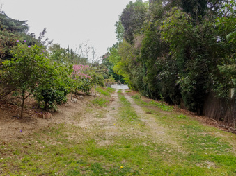 Enlarge photo 52