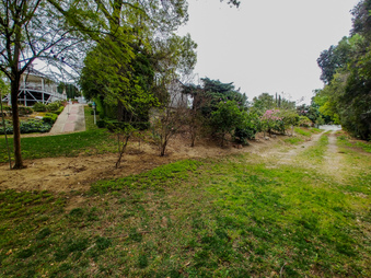 Enlarge photo 53