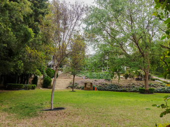 Enlarge photo 58