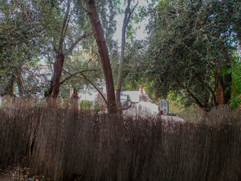 Enlarge photo 75