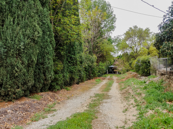 Enlarge photo 83