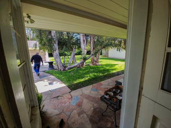 Enlarge photo 39