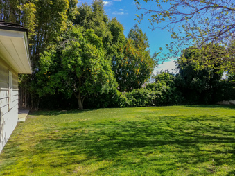 Enlarge photo 56