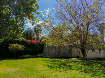 Enlarge photo 59