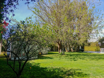 Enlarge photo 65