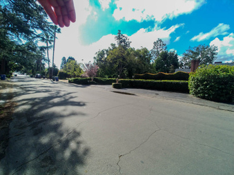 662 Alameda St.