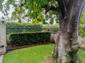Enlarge photo 107