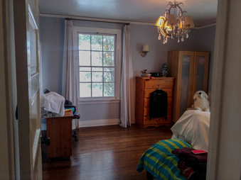 Enlarge photo 159