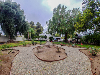 Enlarge photo 62