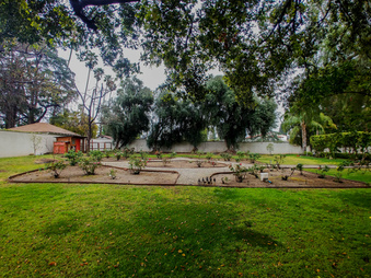 Enlarge photo 76
