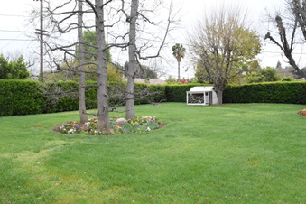 Enlarge photo 15