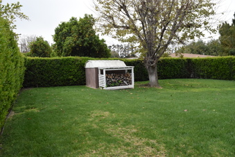 Enlarge photo 35