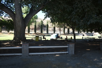 Enlarge photo 16