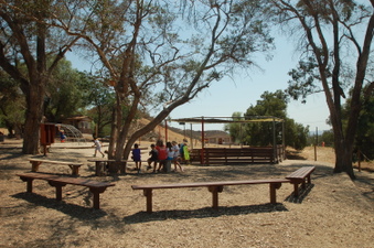 Enlarge photo 5