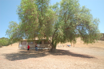 Enlarge photo 45
