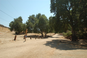 Enlarge photo 54