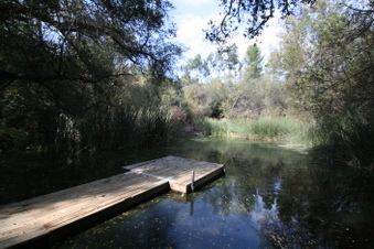 Enlarge photo 92