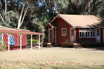Enlarge photo 54