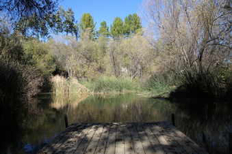 Enlarge photo 90