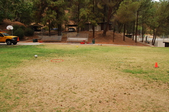Enlarge photo 65