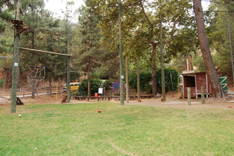 Enlarge photo 66