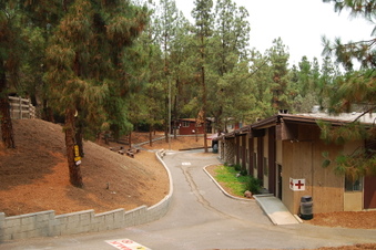 Enlarge photo 82