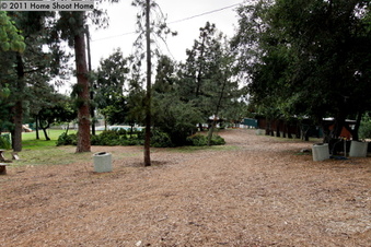 Enlarge photo 28