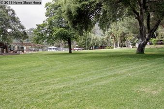 Enlarge photo 33