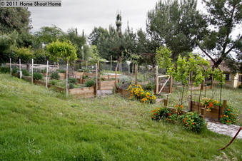 Enlarge photo 43