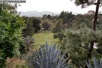 Enlarge photo 44