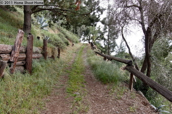 Enlarge photo 46