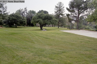 Enlarge photo 47
