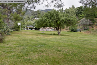 Enlarge photo 48