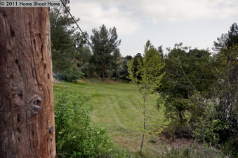 Enlarge photo 53