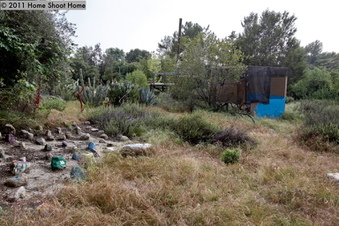 Enlarge photo 57