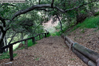Enlarge photo 59