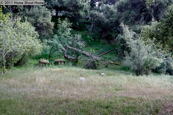Enlarge photo 61