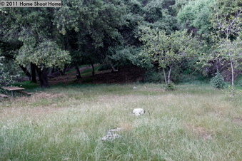 Enlarge photo 62
