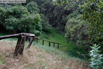 Enlarge photo 63