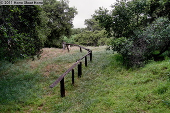 Enlarge photo 64