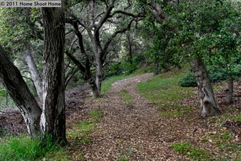 Enlarge photo 65