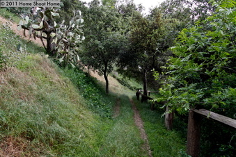 Enlarge photo 66